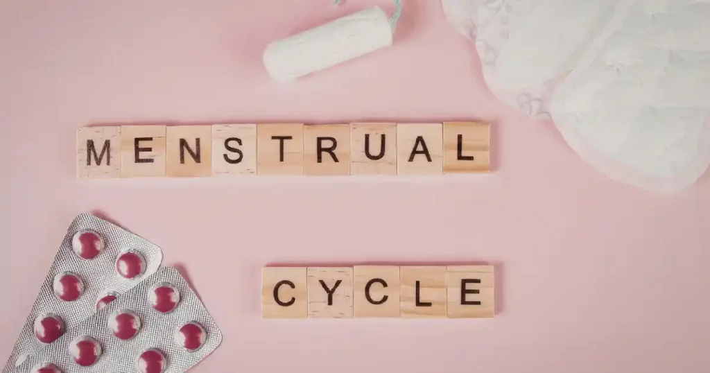 Menstrual Cycle