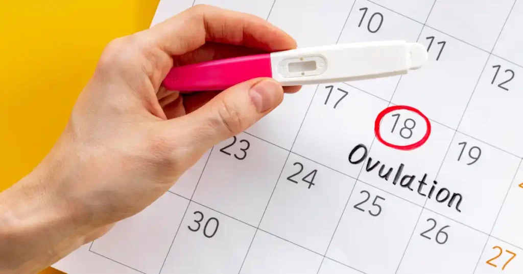 Ovulation Calculator for Clinics