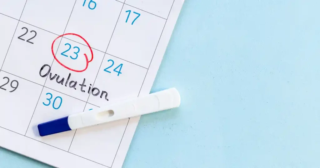 Ovulation Calculator for PCOS Users
