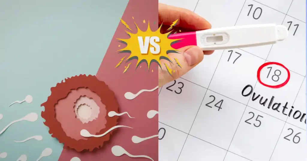 Ovulation Calculator vs Fertility Monitor