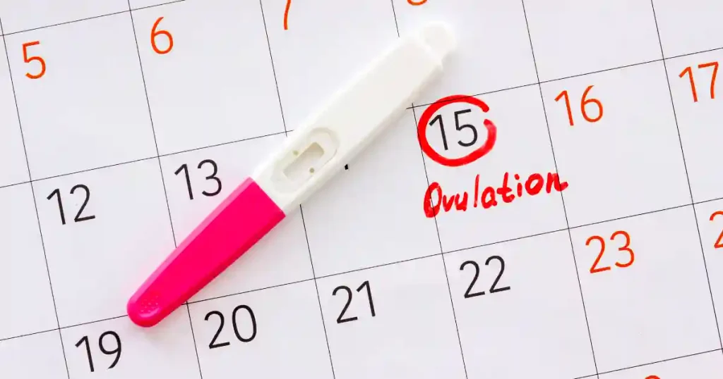 15 Essential Features to Look for in an Ovulation Calculator